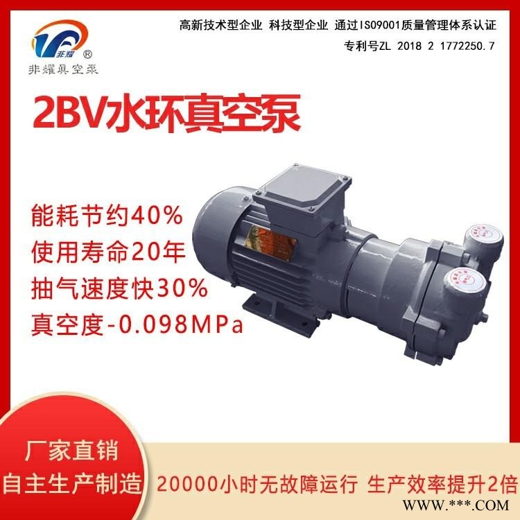 2BV水环真空泵 防爆型水环真空泵 真空泵厂家直销非耀图1