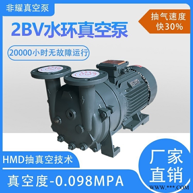2BV型号水环真空泵 防爆水环真空泵 真空泵厂家直销非耀图1