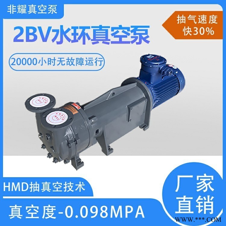 水环真空泵生产厂家 2BV6水环真空泵 除烟除臭专用真空泵 高真空抽气量大 非耀图1