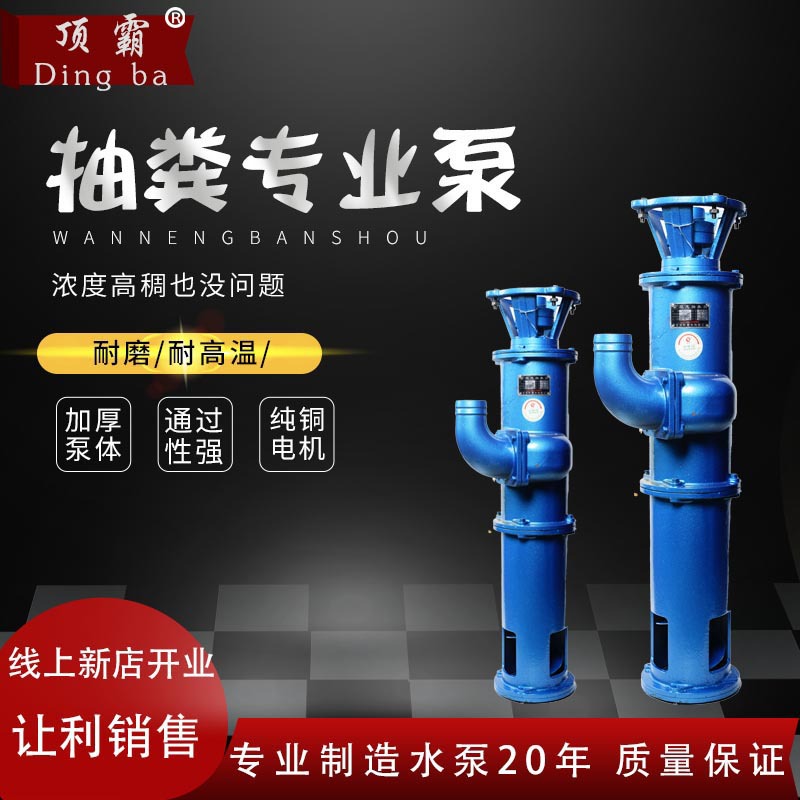 厂家供应双接立式绞龙抽粪泵养殖场化粪池排污泵无堵塞泥浆抽粪机
