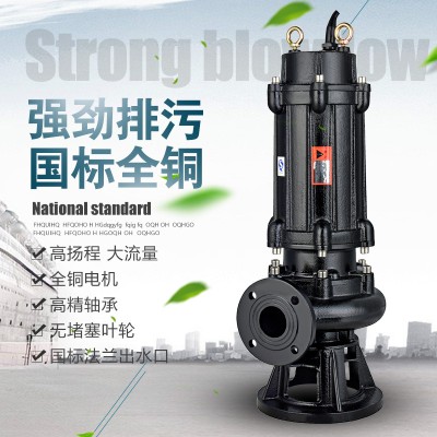 厂家220V污水泵 无堵塞高扬程工业农用排污泵 380v大流量潜水泵