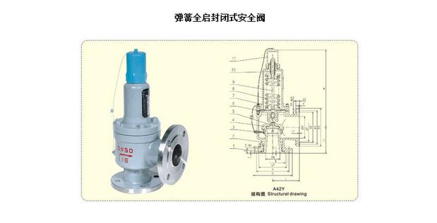 A42Y-25C 铸钢弹簧全启封闭式安全阀DN200 250示例图3