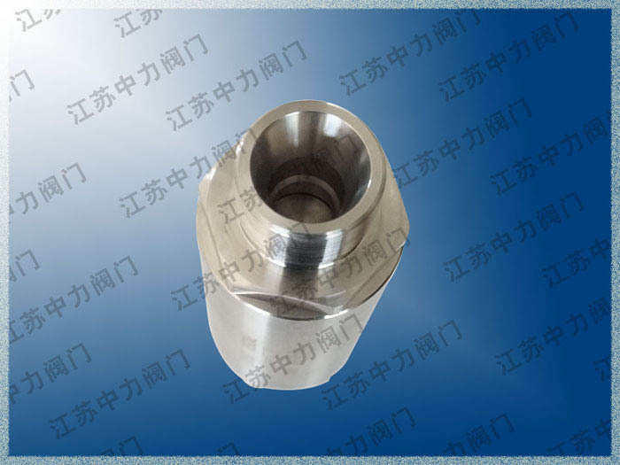 不锈钢超高压止回阀 超高压内螺纹止回阀 焊接式超高压止回阀示例图1