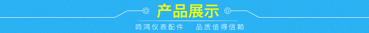 厂家直销针型阀 精密对焊针型阀 常温常压手动不锈钢针阀 可定制示例图24