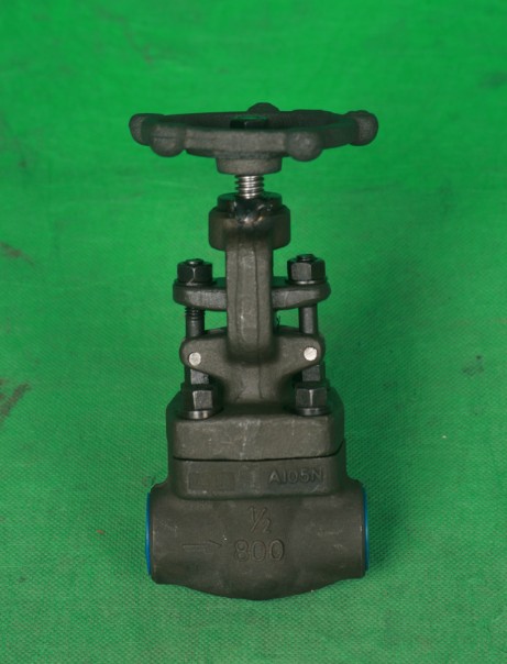 J61Y-800LB锻钢截止阀.jpg