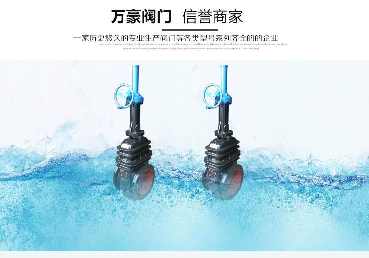 厂家供应Z542W-1煤气闸阀 低压铸铁法兰闸阀 双向排污闸阀可定制示例图2