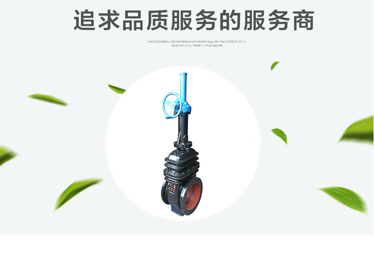 厂家供应Z542W-1煤气闸阀 低压铸铁法兰闸阀 双向排污闸阀可定制示例图3