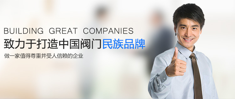 不锈钢卡套式直通单向阀 H91X-160卡套式止回阀 弹簧式逆止阀厂家示例图1