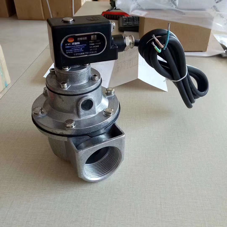 除尘器配套喷吹阀 清源  高原带螺母脉冲电磁阀 直角式电磁脉冲阀 技术生产
