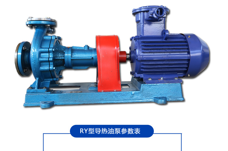 厂家直供 RY系列耐高温导热油离心泵 RY32-32-160型导热循环油泵示例图11