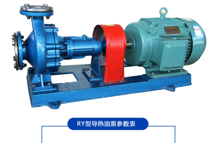 批发 卧式锅炉专用导热油泵 RY-40-25-160风冷系列耐高温离心泵示例图11
