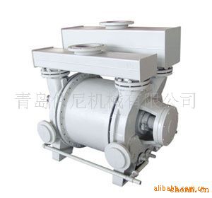供应水环真空泵2BV207020712be示例图5