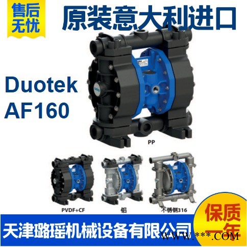 意大利进口隔膜泵  SEKO赛高Duotek系列气动隔膜泵AF160